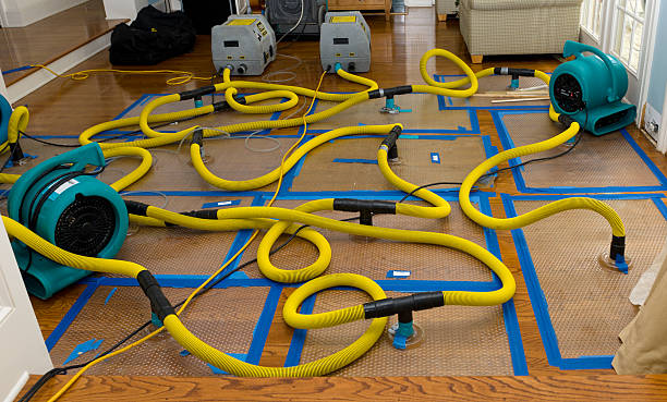 Professional Burst Pipe Water Damage technician working in Cheltenham, PA
